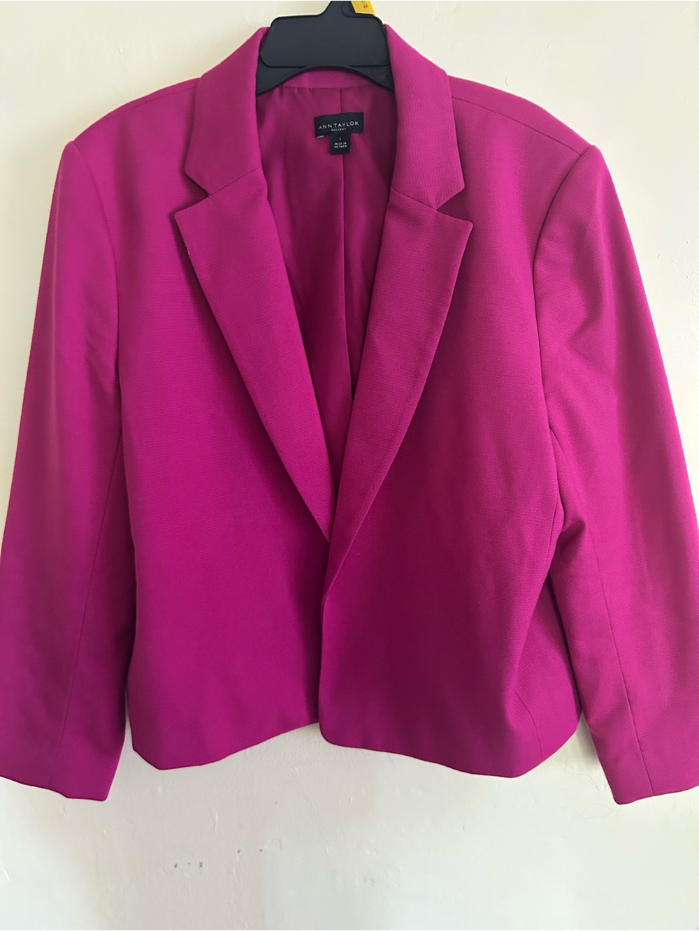 Ann Taylor Hot Pink Blazer Jacket